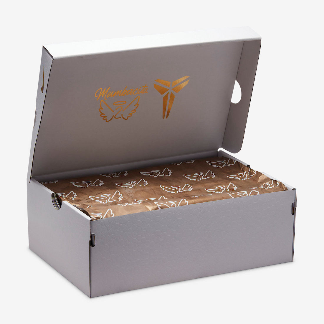 Nike Zoom Kobe 4 Protro “Mambacita”