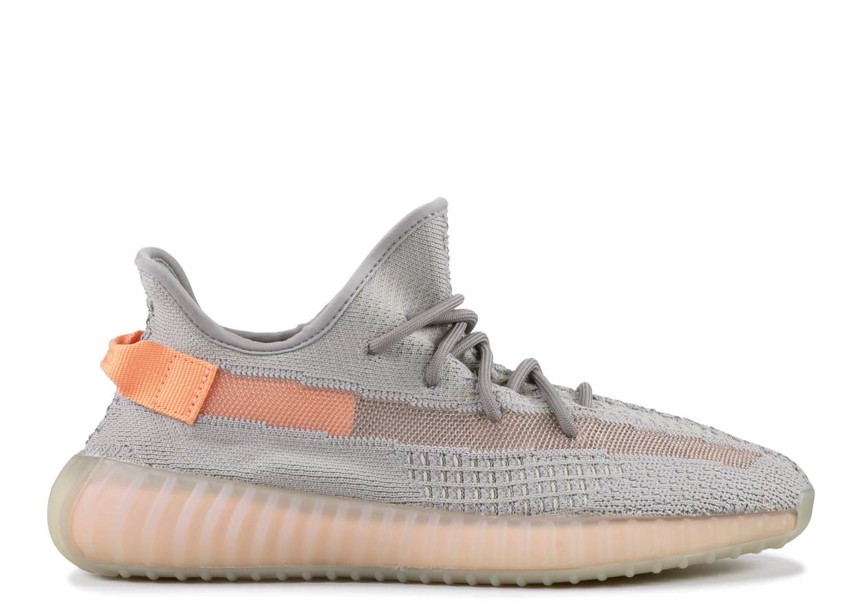 Adidas Yeezy Boost 350 V2 True Form 1-73