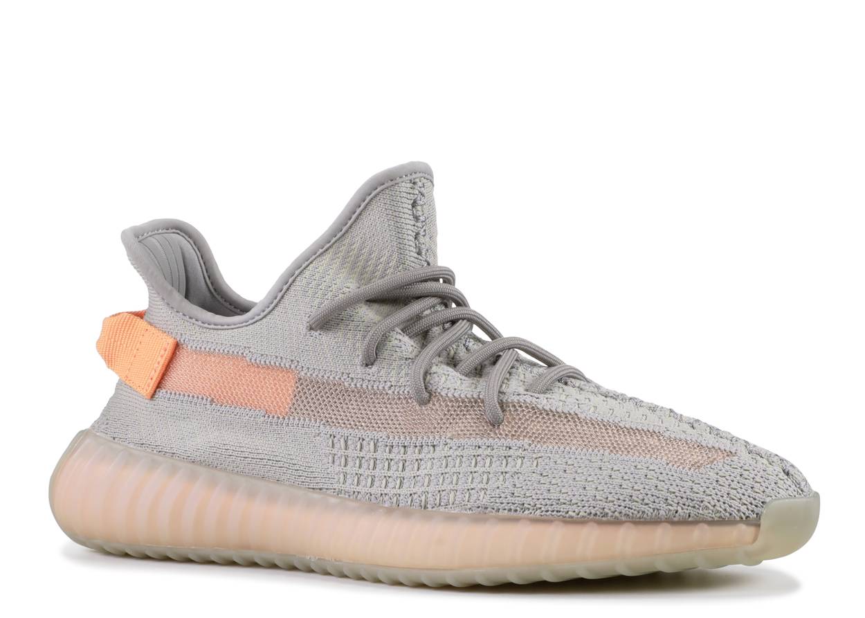 Adidas Yeezy Boost 350 V2 True Form 2-73