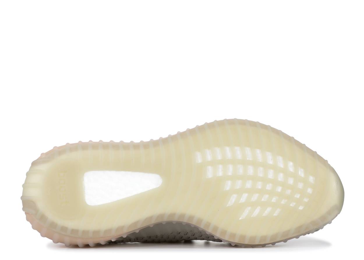 Adidas Yeezy Boost 350 V2 True Form 4-73