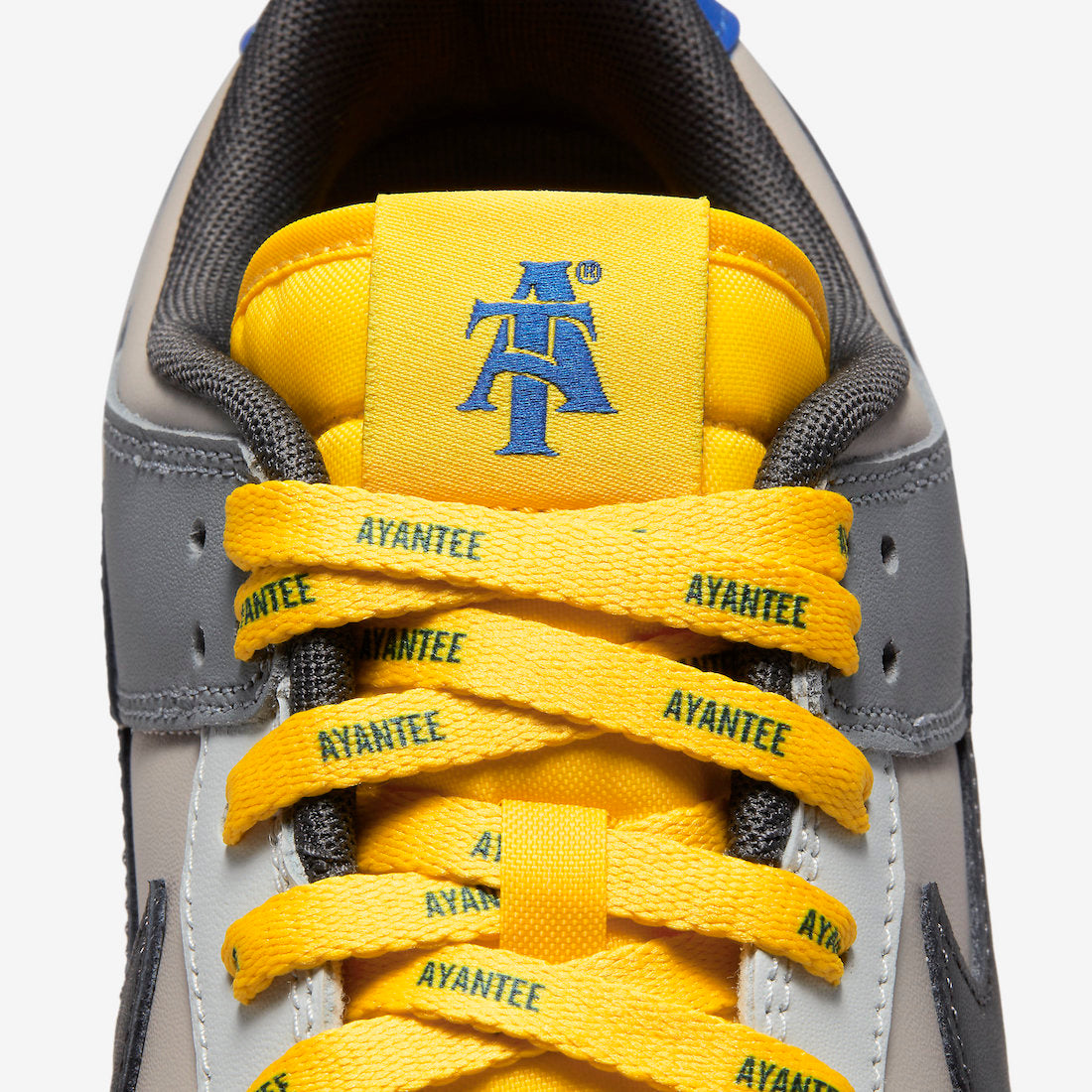 North Carolina A&T State x Nike Dunk Low “Aggies”