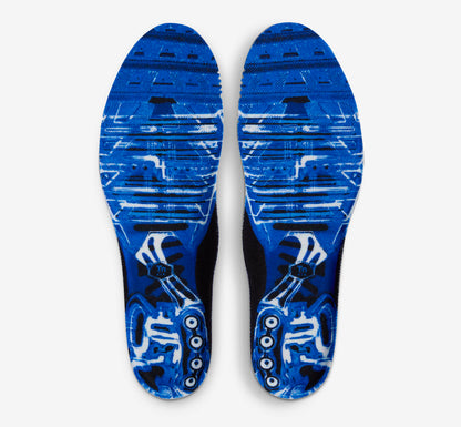 Nike Air Max Plus “Light Photography - Old Royal”