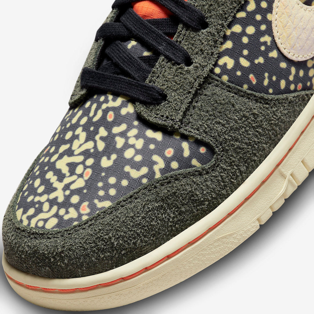 Nike Dunk Low “Rainbow Trout”