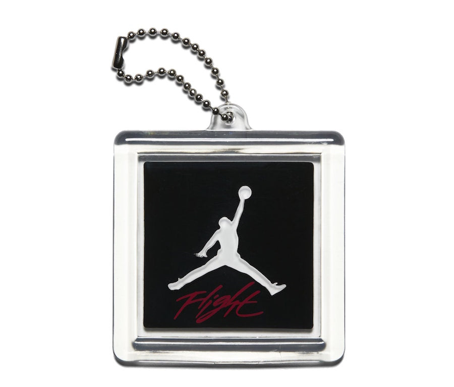 Air Jordan 4 "Raptor - Drake Signature"