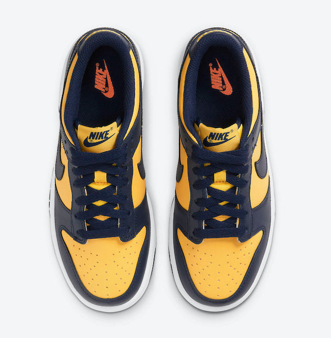 Nike Dunk Low _Michigan_ 5